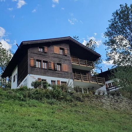 Chalet Carpe Diem Fieschertal Bagian luar foto