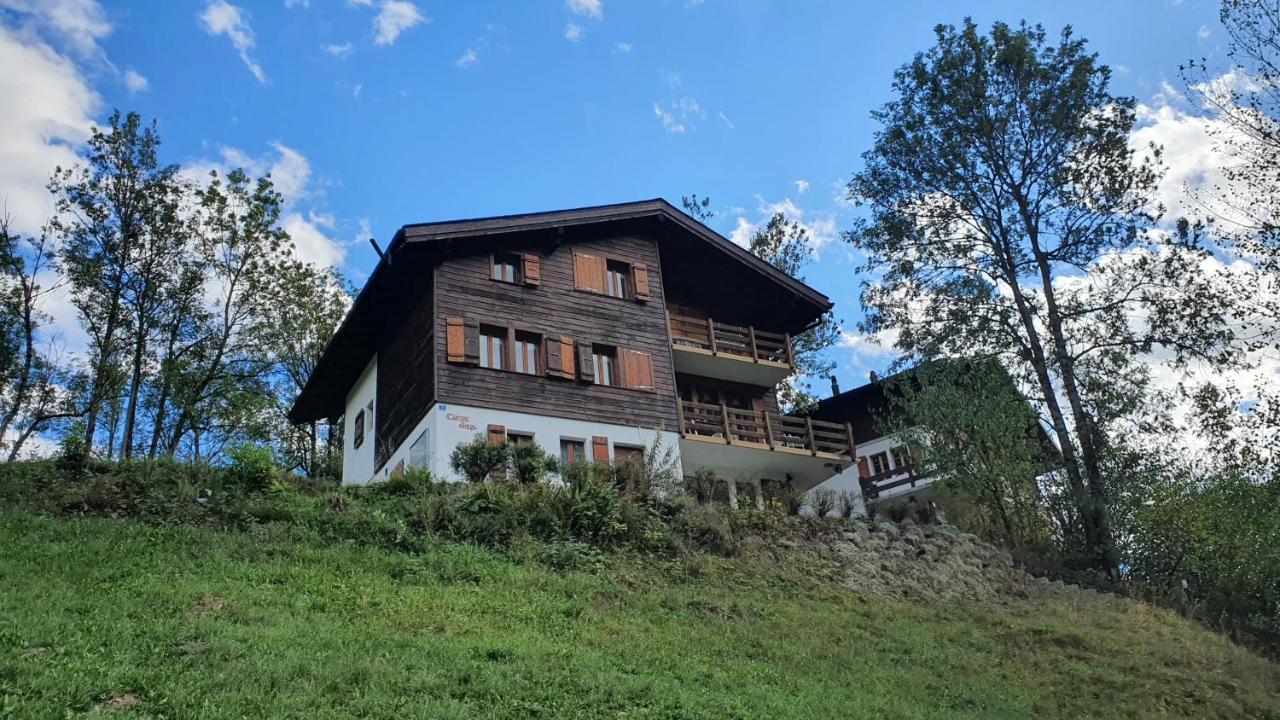 Chalet Carpe Diem Fieschertal Bagian luar foto