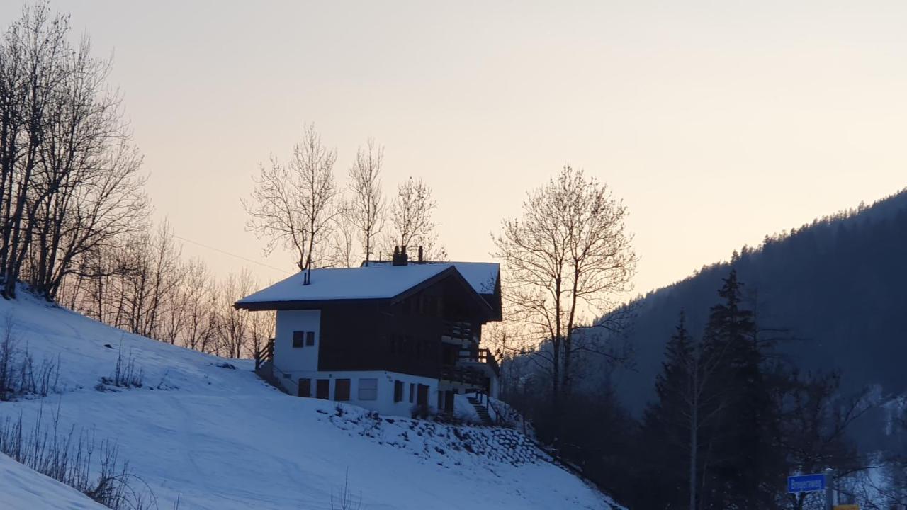 Chalet Carpe Diem Fieschertal Bagian luar foto