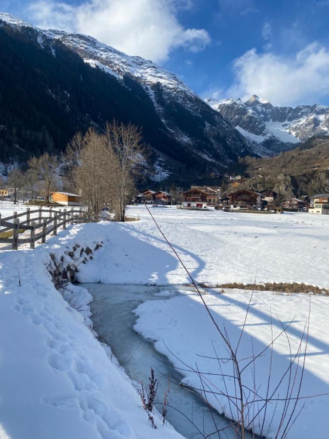 Chalet Carpe Diem Fieschertal Bagian luar foto